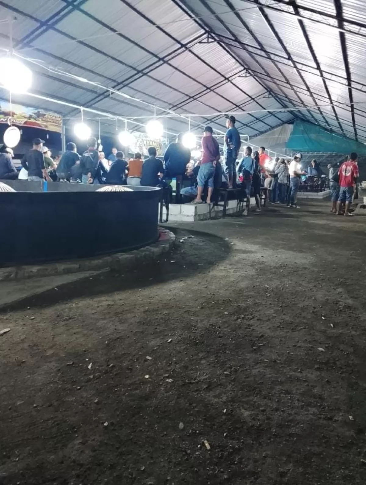 Tagline “Polisi untuk Masyarakat” Dipertanyakan, Dugaan Judi Sabung Ayam dan Dadu di Kalicabean Kembali Beropera